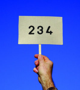 arm holding up an auction number (234) against a blue sky